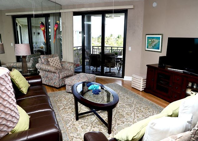 Living Room and Balcony Doors