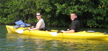 Kayaking in the Key West mangroves.