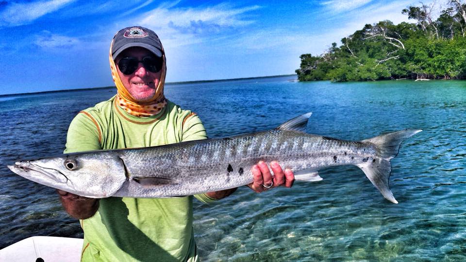 Fisherman holding a Barracuda while Key West flats fishing.